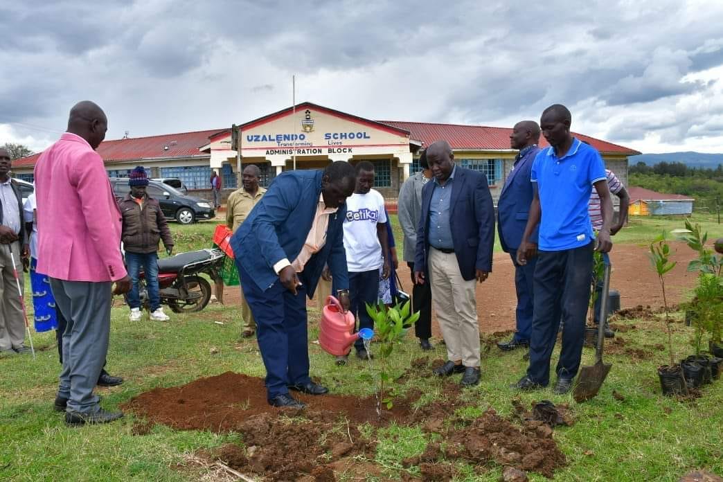 Environment Conservation Efforts