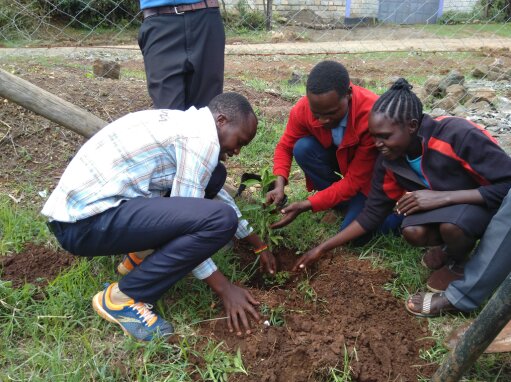 Tree planting ceremony at Uzalendo School