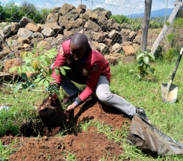 Environmental conservation activities